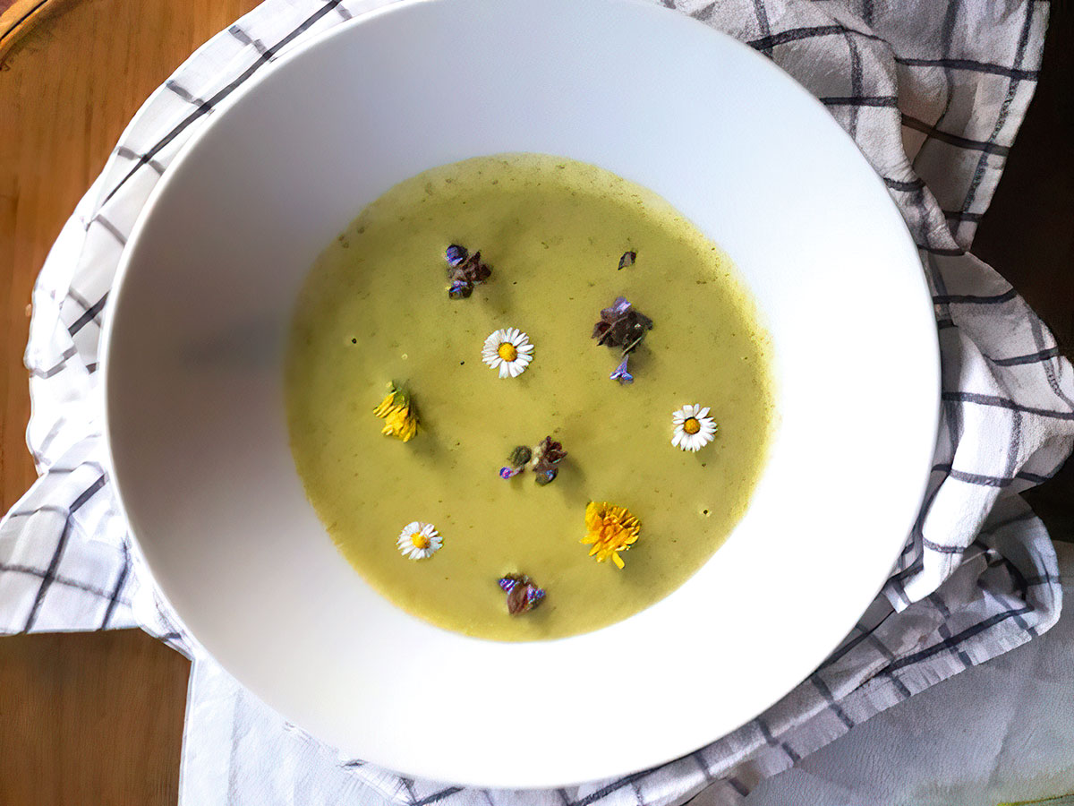 Wildkräutersuppe mit Brennessel, Giersch, Löwenzahn, Schafgarbe, Vogelmiere, Gundermann, Spitzwegerich und Taubnessel